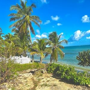 Meet your Posher, Kaylee